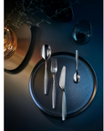 30-Piece Flatware Set - Cromargan protect® - Sentic - WMF